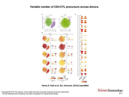 Variable number of CD4-CTL precursors across donors.