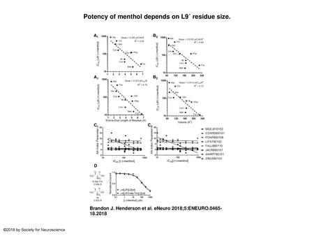 Potency of menthol depends on L9´ residue size.