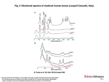Vibrational spectra of medieval human bones (Leopoli-Cencelle, Italy)