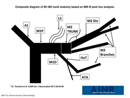 Composite diagram of M1-M2 trunk anatomy based on IMS III post hoc analysis. Composite diagram of M1-M2 trunk anatomy based on IMS III post hoc analysis.