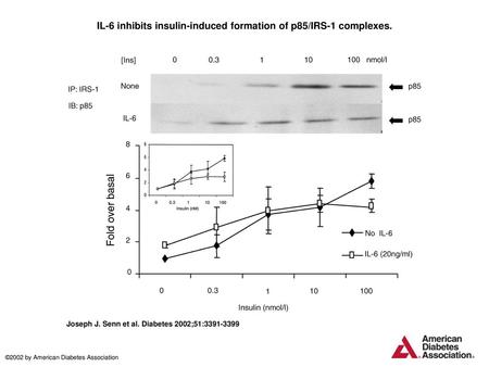 IL-6 inhibits insulin-induced formation of p85/IRS-1 complexes.