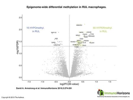 Epigenome-wide differential methylation in RUL macrophages.