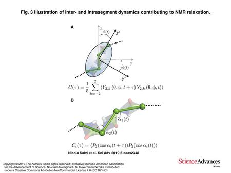 Fig. 3 Illustration of inter- and intrasegment dynamics contributing to NMR relaxation. Illustration of inter- and intrasegment dynamics contributing to.