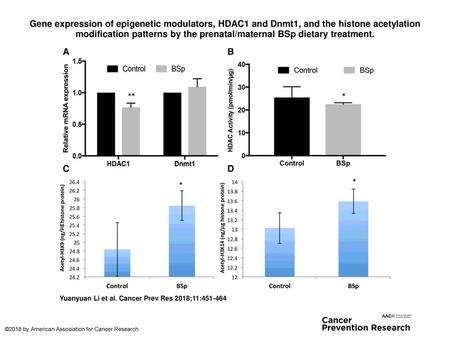 Gene expression of epigenetic modulators, HDAC1 and Dnmt1, and the histone acetylation modification patterns by the prenatal/maternal BSp dietary treatment.