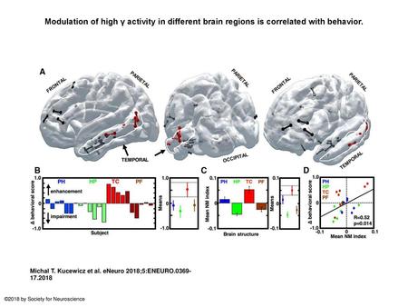 Modulation of high γ activity in different brain regions is correlated with behavior. Modulation of high γ activity in different brain regions is correlated.