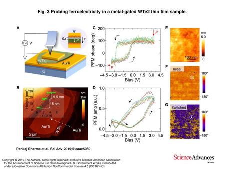 Probing ferroelectricity in a metal-gated WTe2 thin film sample