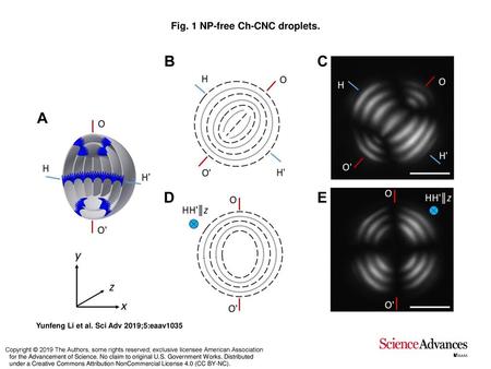 Fig. 1 NP-free Ch-CNC droplets.