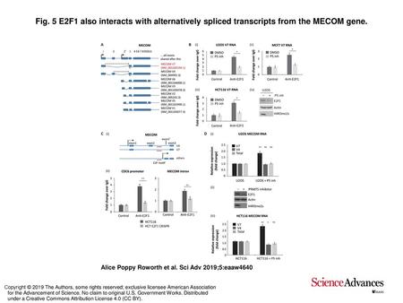 Fig. 5 E2F1 also interacts with alternatively spliced transcripts from the MECOM gene. E2F1 also interacts with alternatively spliced transcripts from.