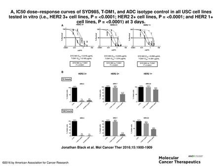 A, IC50 dose–response curves of SYD985, T-DM1, and ADC isotype control in all USC cell lines tested in vitro (i.e., HER2 3+ cell lines, P = 
