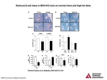 Reduced β-cell mass in MCH-KO mice on normal chow and high-fat diets.