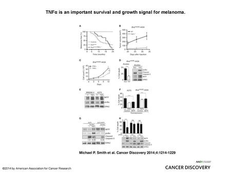 TNFα is an important survival and growth signal for melanoma.