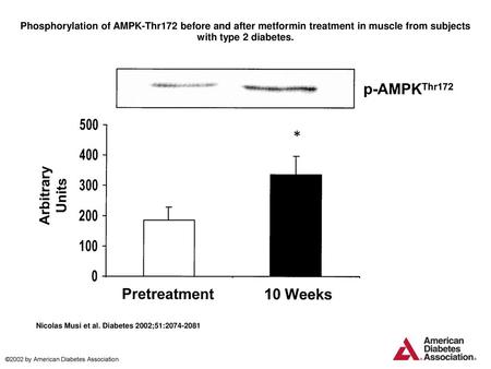 Phosphorylation of AMPK-Thr172 before and after metformin treatment in muscle from subjects with type 2 diabetes. Phosphorylation of AMPK-Thr172 before.