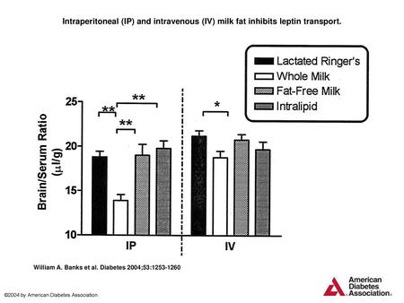 Intraperitoneal (IP) and intravenous (IV) milk fat inhibits leptin transport. Intraperitoneal (IP) and intravenous (IV) milk fat inhibits leptin transport.