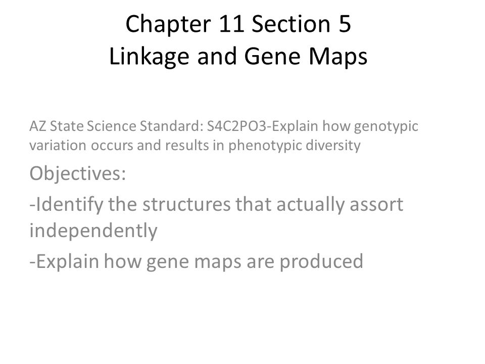 Section 11 5 Linkage And Gene Maps Chapter 11 Section 5 Linkage And Gene Maps Az State Science Standard:  S4C2Po3-Explain How Genotypic Variation Occurs And Results In Phenotypic  Diversity. - Ppt Download