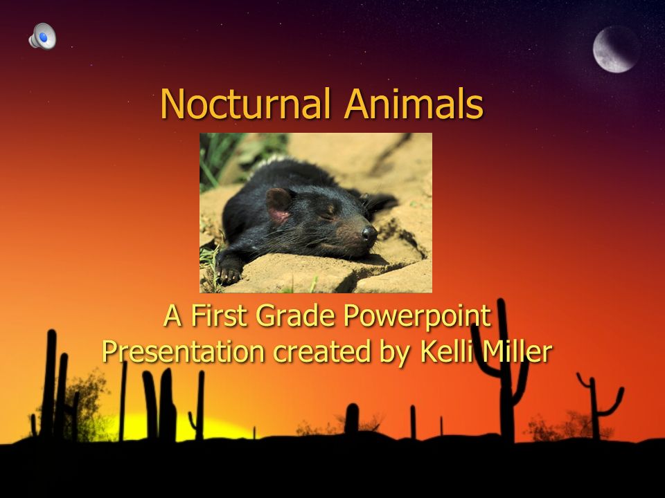 Nocturnal Animals A First Grade Powerpoint Presentation created by Kelli  Miller. - ppt download