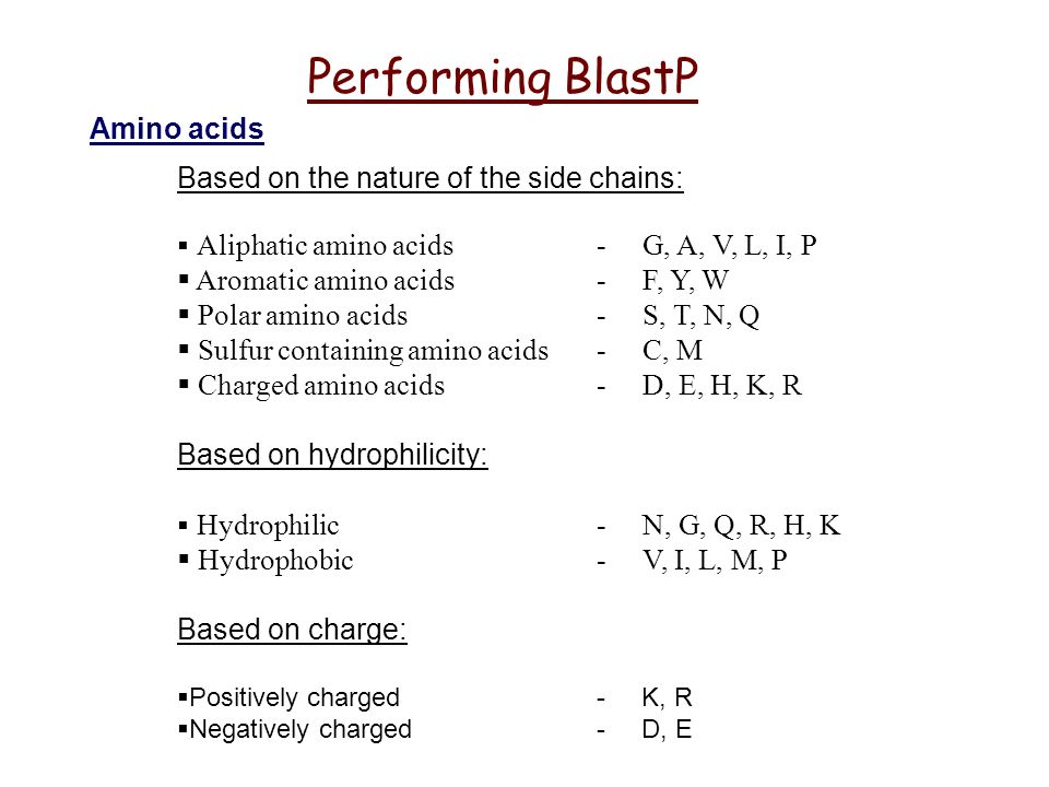 Performing Blastp Amino Acids Based On The Nature Of The Side Chains Aliphatic Amino Acids G A V L I P Aromatic Amino Acids F Y W Polar Ppt Download