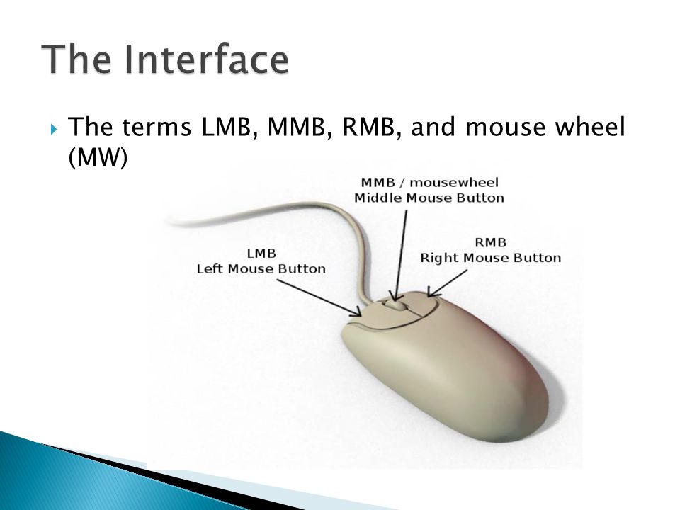 The terms LMB, MMB, RMB, and mouse wheel (MW). - ppt download