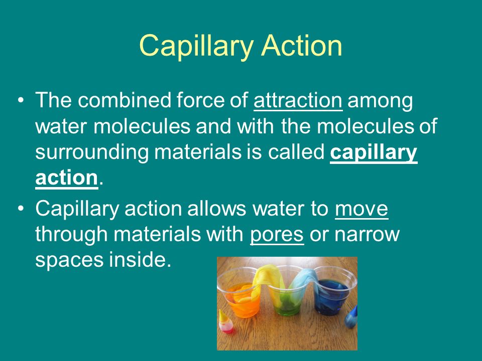 Capillary Action The combined force of attraction among water molecules and with the molecules of surrounding materials is called capillary action.