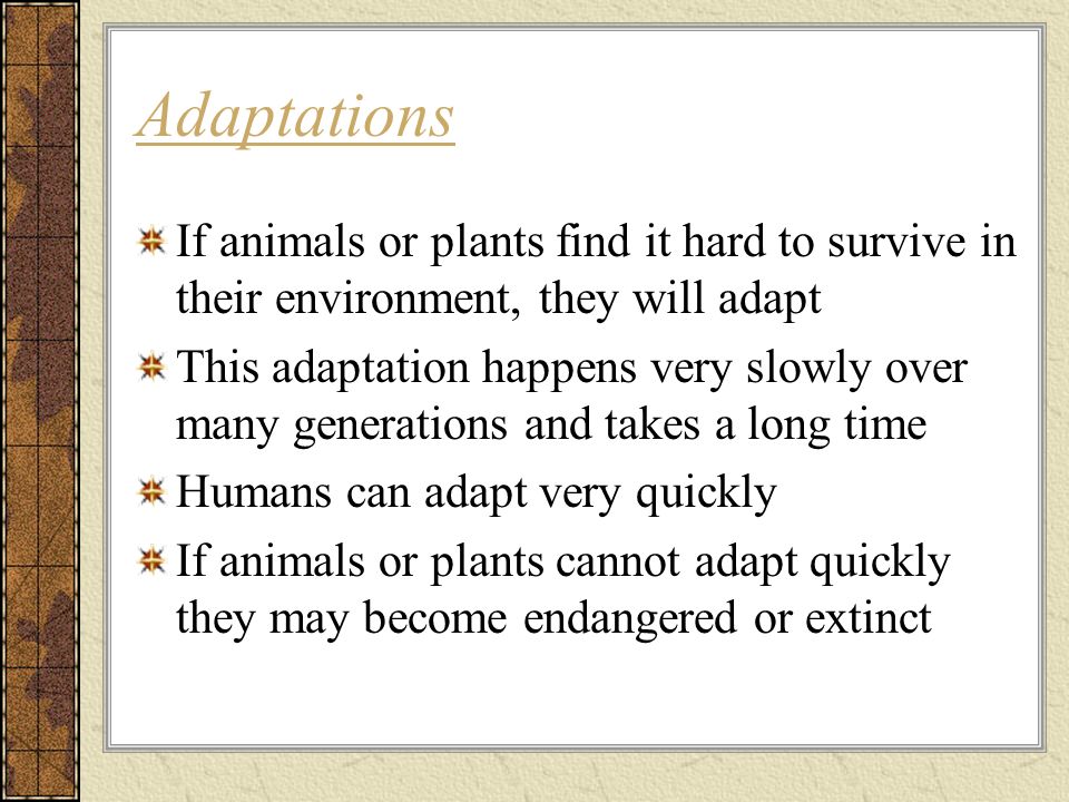 Animal Survival 4th Grade Life Science. - ppt download