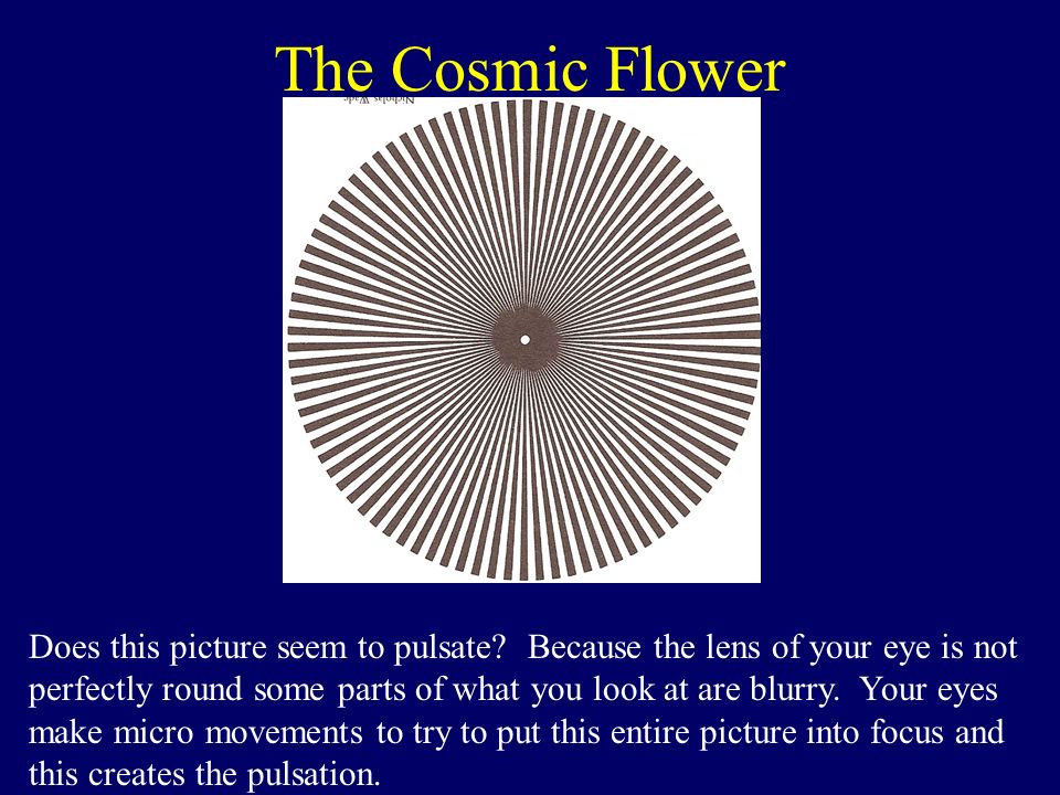 The Cosmic Flower