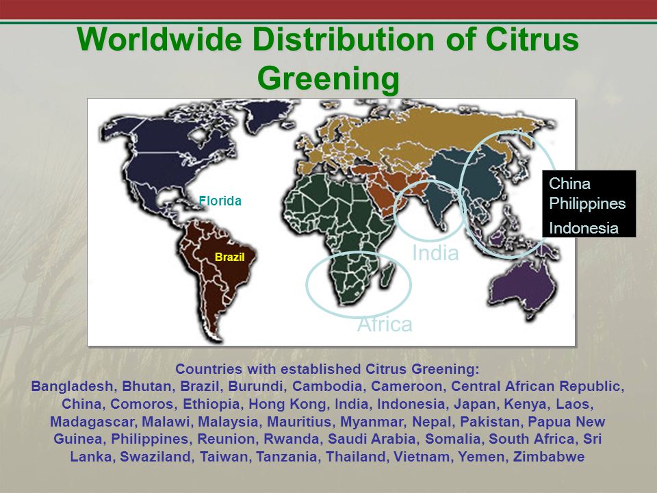 Worldwide Distribution of Citrus Greening