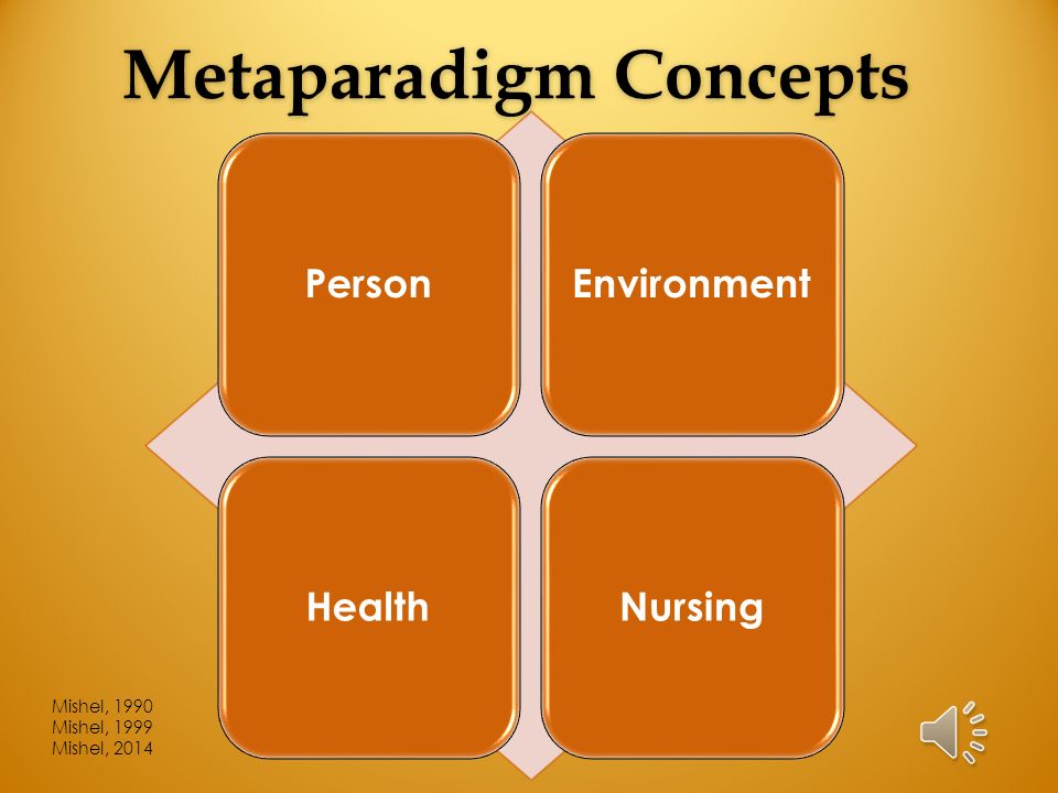 Metaparadigm Concepts