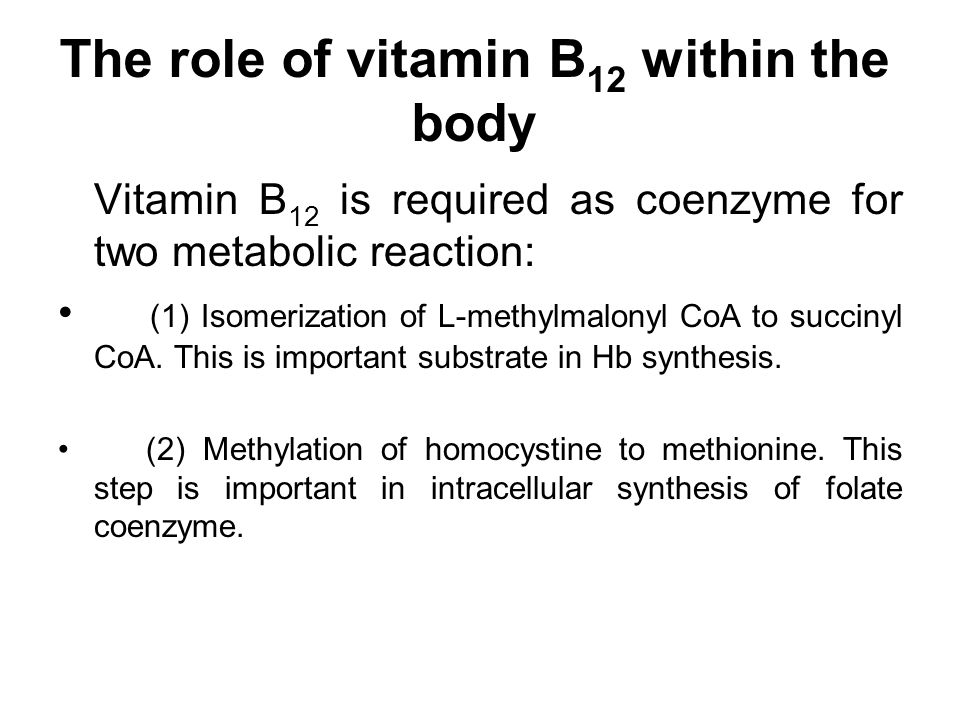 The Role Of Vitamin B12 Within The Body Ppt Video Online
