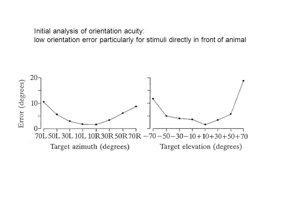 Initial analysis of orientation acuity: