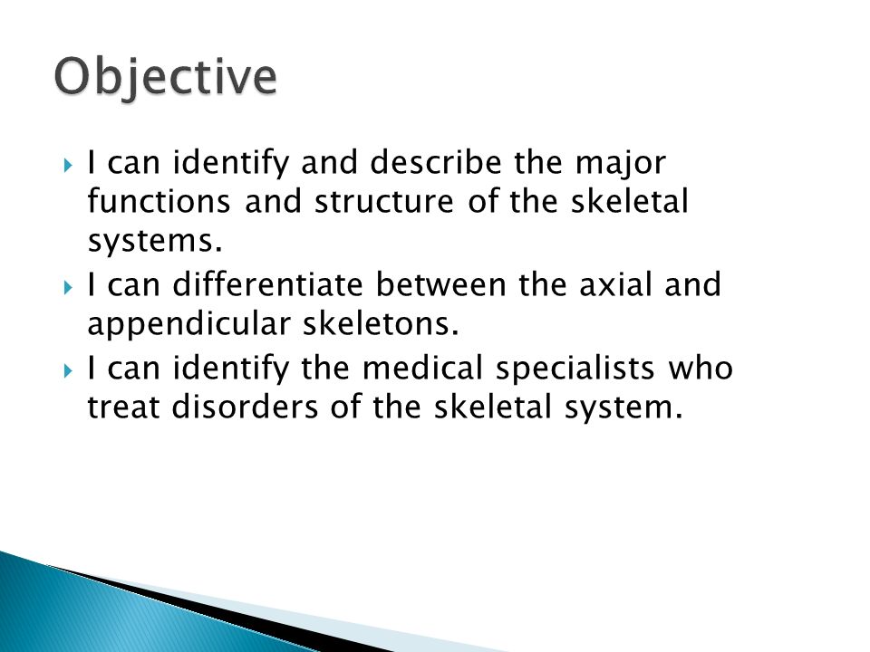 what is the major function of the axial skeleton
