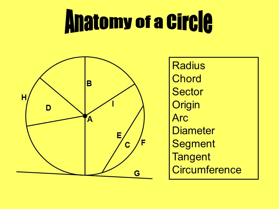 Circle radius. Секторный радиус. Radius of circle. Circle Chord Radius. Radius diameter.