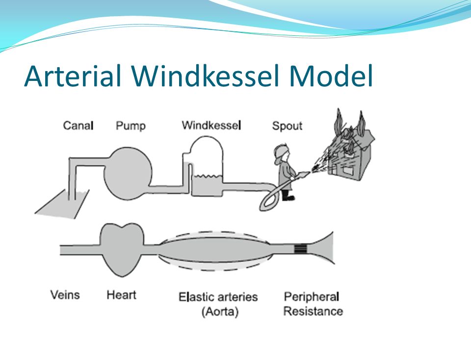 Arterial Windkessel Model