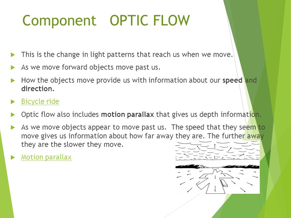 Component Optic Flow This is the change in light patterns that reach us when we move. As we move forward objects move past us.