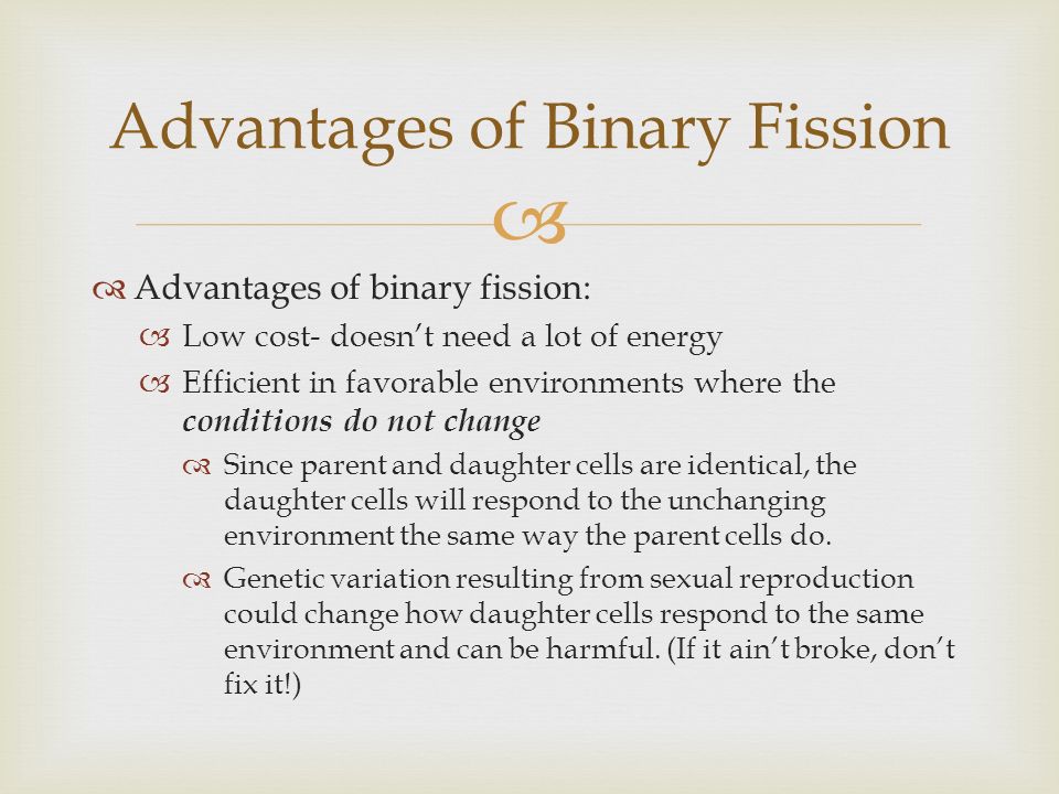 advantages of fission