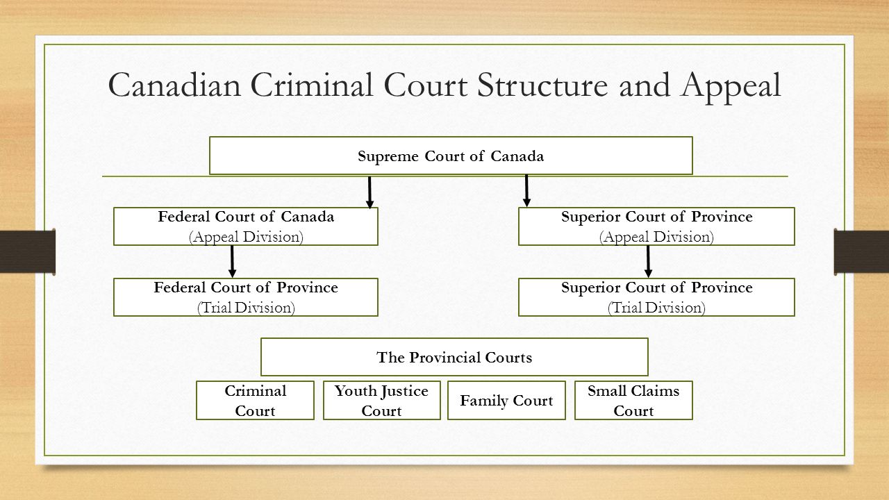 Trial Procedures Courtroom Personnel Ppt Video Online