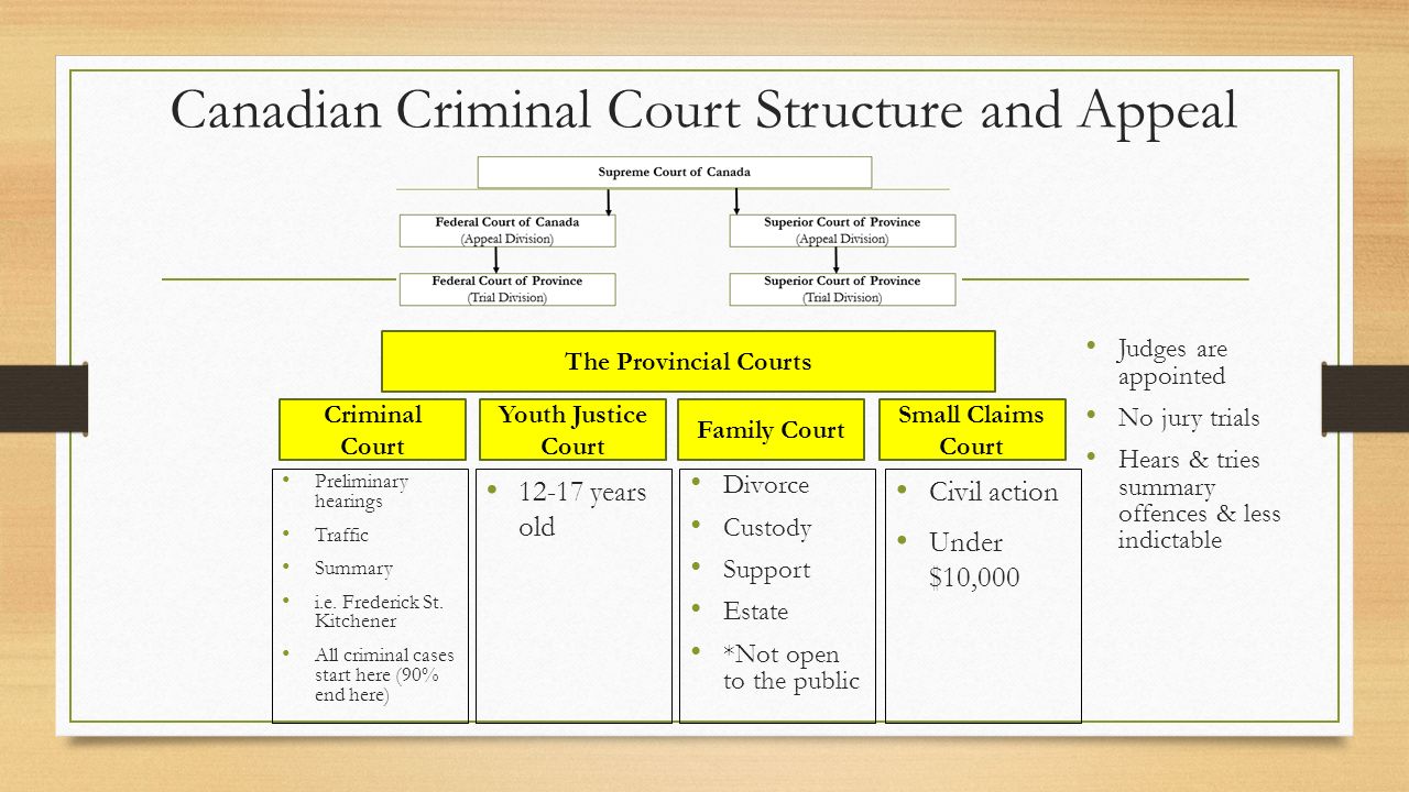 Trial Procedures Courtroom Personnel Ppt Video Online