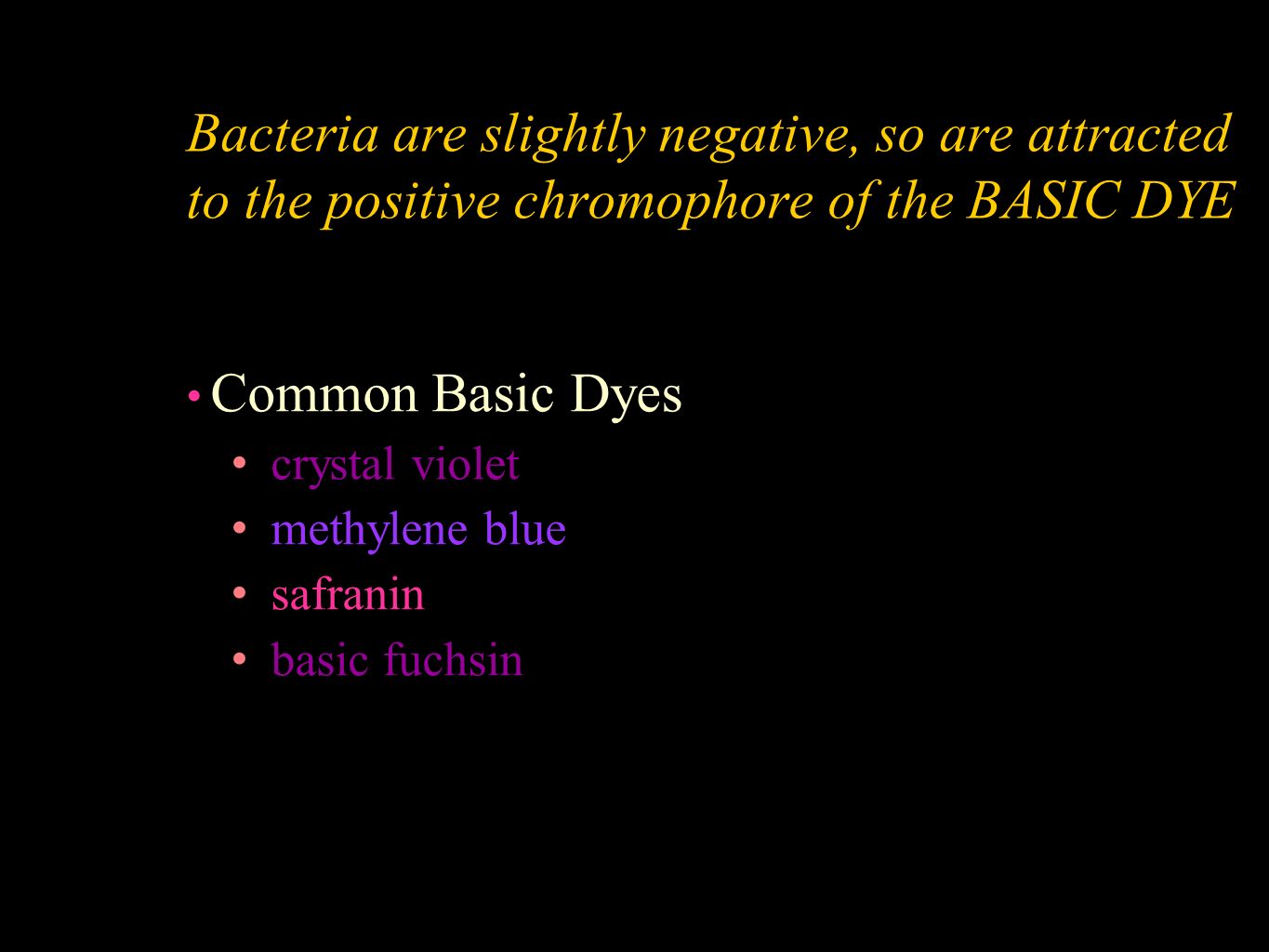 Bacteria are slightly negative, so are attracted to the positive chromophore of the BASIC DYE