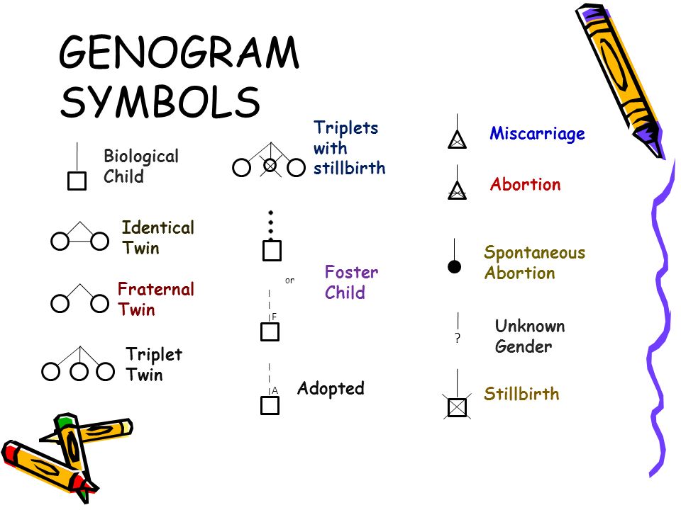 genogram relationship symbols genogram relationship symbols