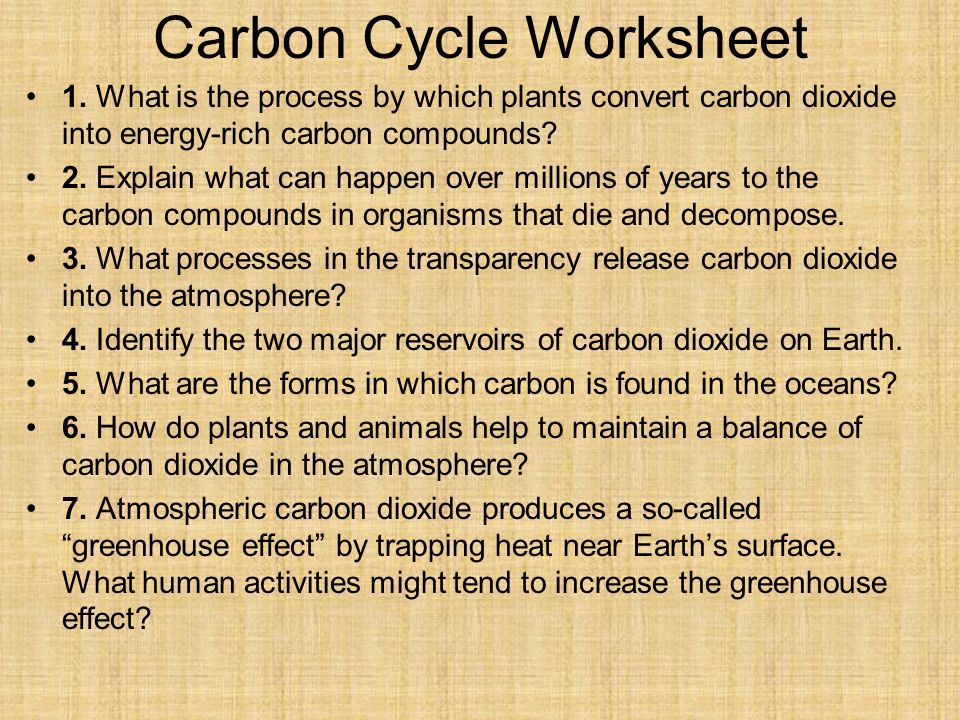 Carbon Cycle Worksheet.