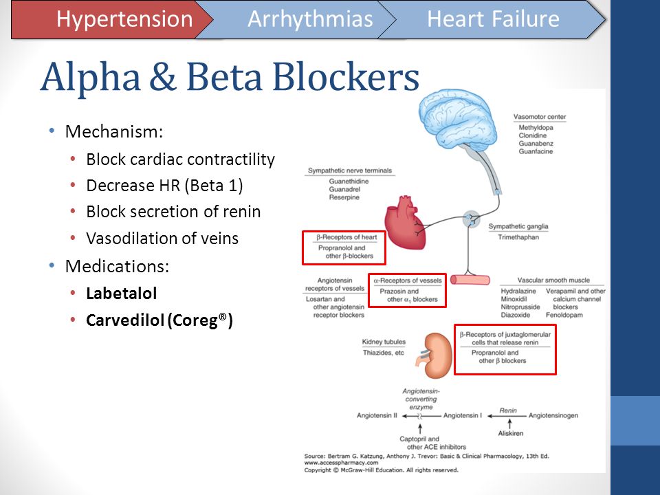 Cardiac Medication Review - ppt download