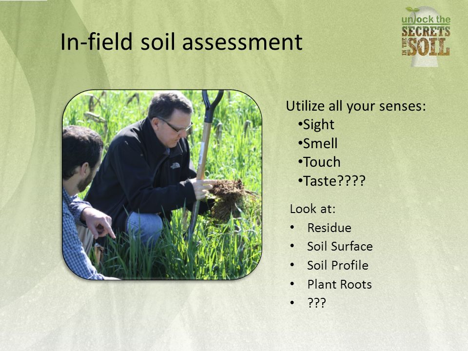 In-field soil assessment