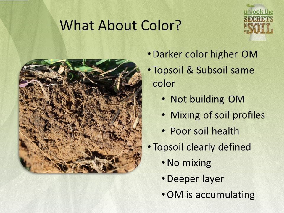 What About Color Darker color higher OM Topsoil & Subsoil same color