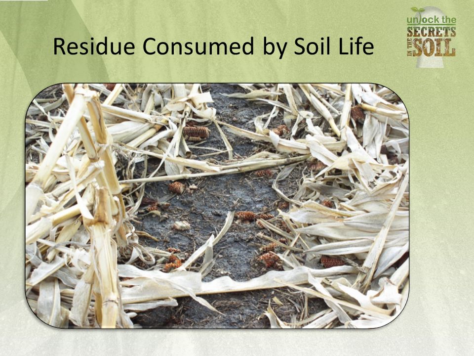 Residue Consumed by Soil Life