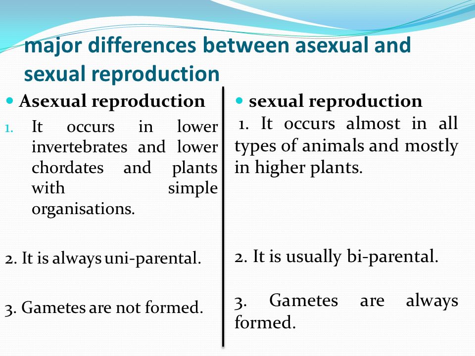 Asexual Reproduction Difference Between Sexual And Asexual Reproduction