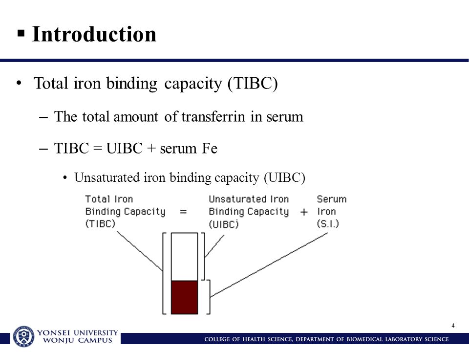 Tibc (Total IronBinding Capacity) Serum at Eleanora Hiott blog