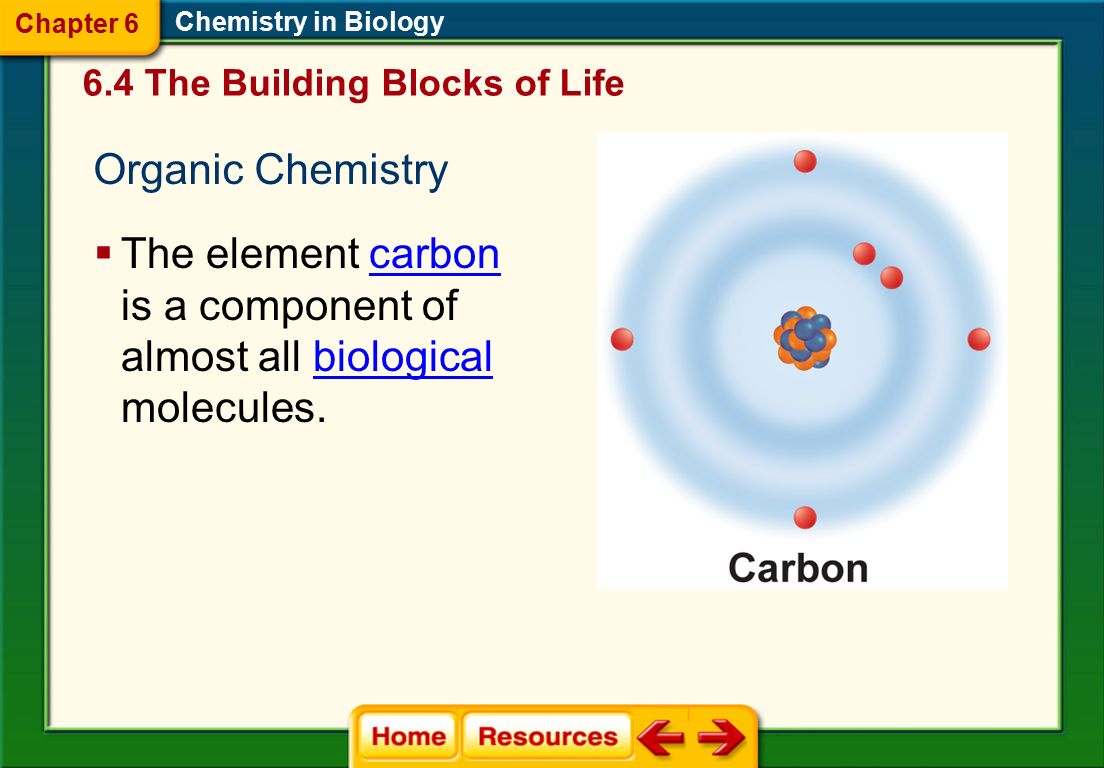 6.4 The Building Blocks of Life - ppt download
