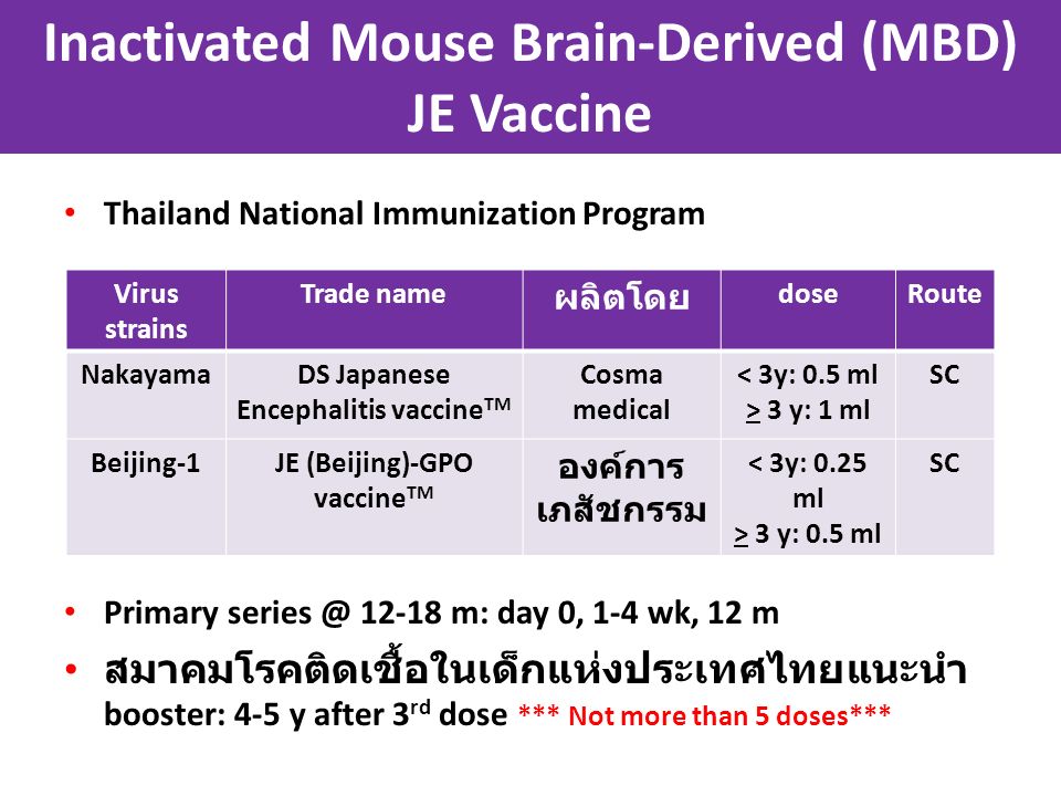 Japanese Encephalitis ไข้สมองอักเสบเจอี - ppt download