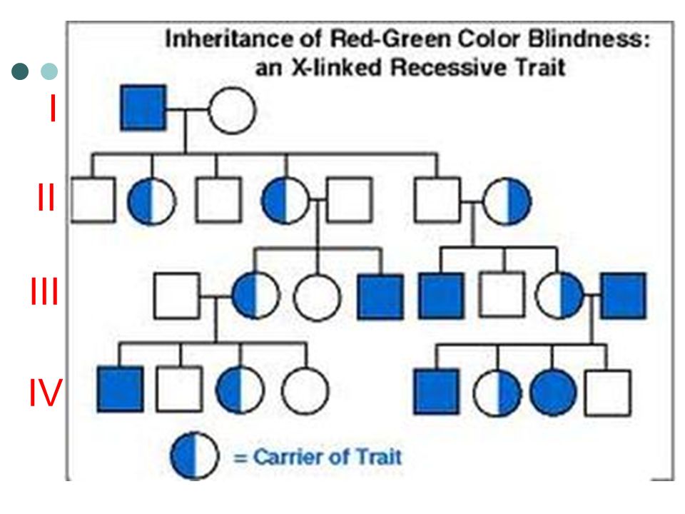 Red Green Color Blindness Pedigree Chart