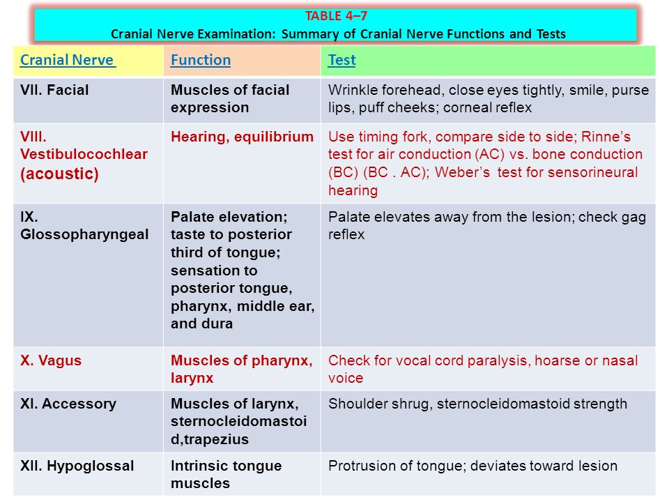 Cranial Nerve Exam Chart