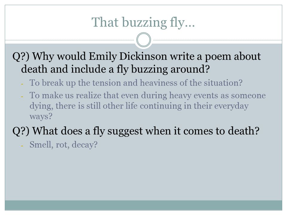 analysis of i heard a fly buzz by emily dickinson