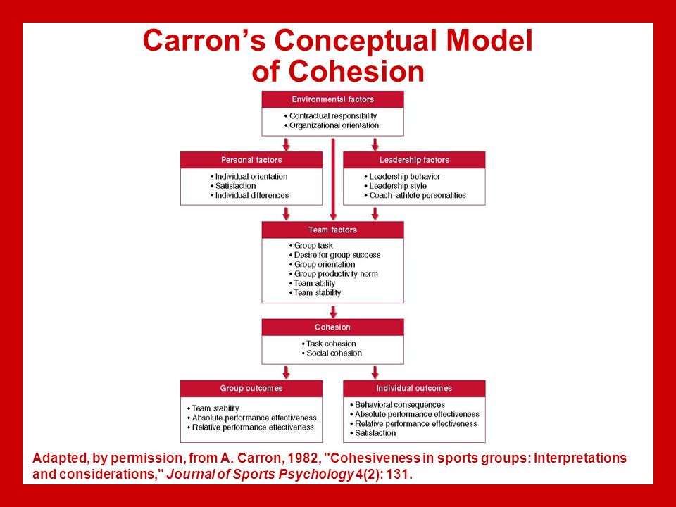 Chapter 8 Group Cohesion. - Ppt Video Online Download